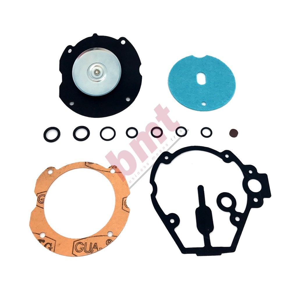 Landi Renzo Regülatör Tamir Takımı