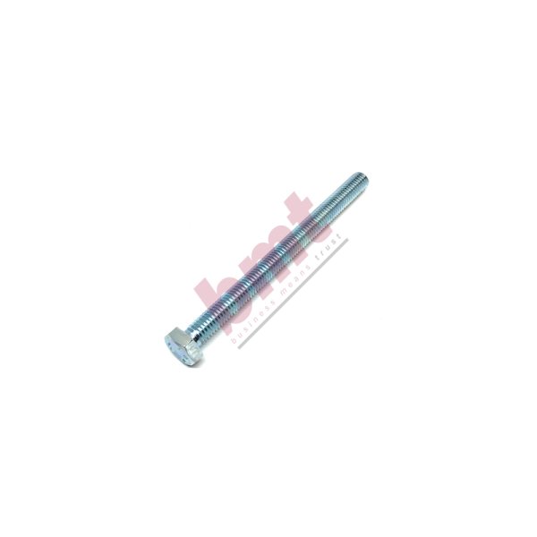 8 x 100 Civata - 20 li Paket